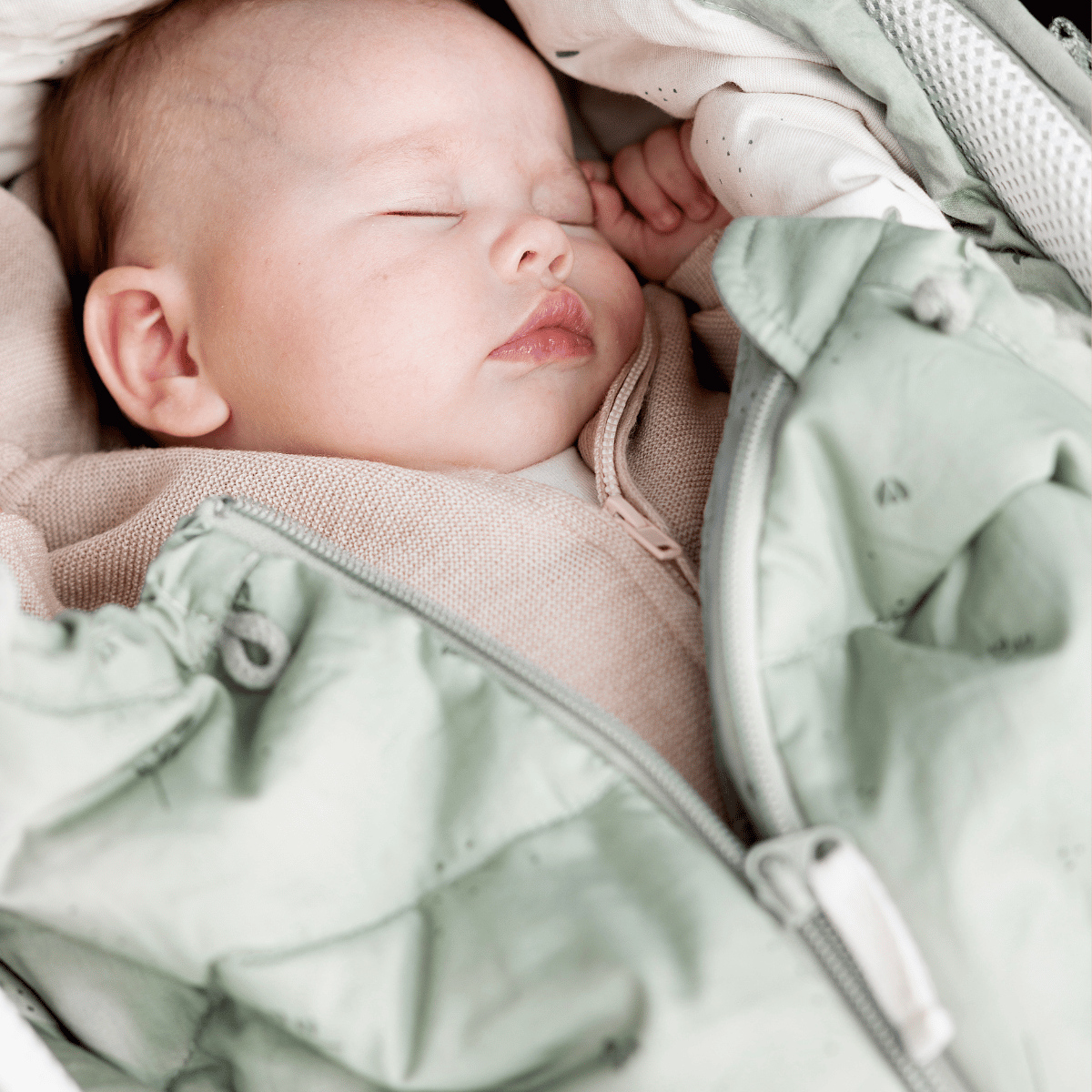 BLOG - fotka v článku - 2025-03-10T105429.190